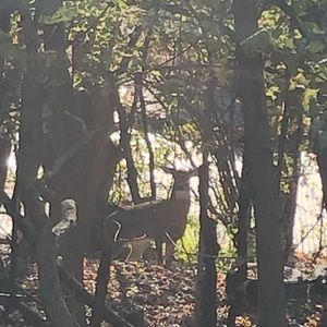 Meet your Posher, Max